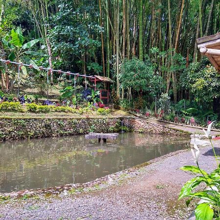 Finca Turistica Los Rosales Pereira Εξωτερικό φωτογραφία