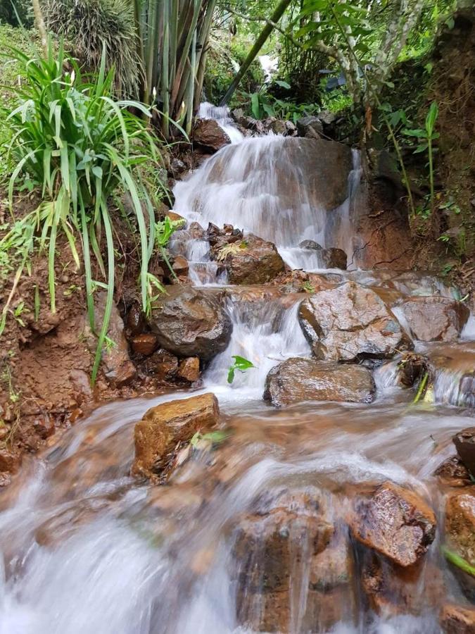 Finca Turistica Los Rosales Pereira Εξωτερικό φωτογραφία