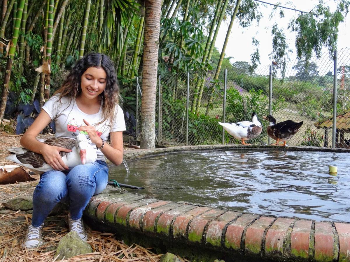 Finca Turistica Los Rosales Pereira Εξωτερικό φωτογραφία